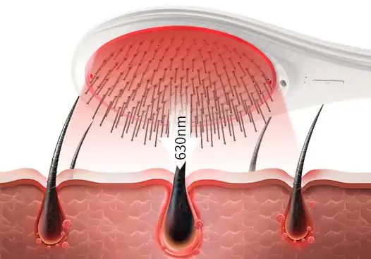 Red Light Therapy Brush（images 13）