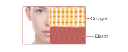 Facial Toning Device（images 12）