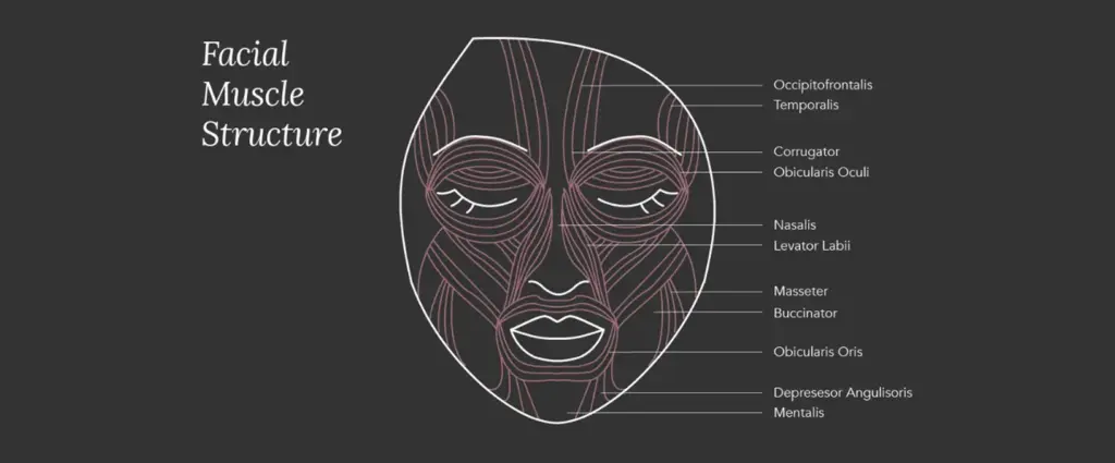 ems mechanism direct muscle activation without the brain