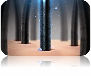 Strengthens Hair Roots