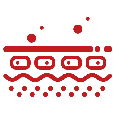 Brightens Skin Tone and Revitalizes Dullness