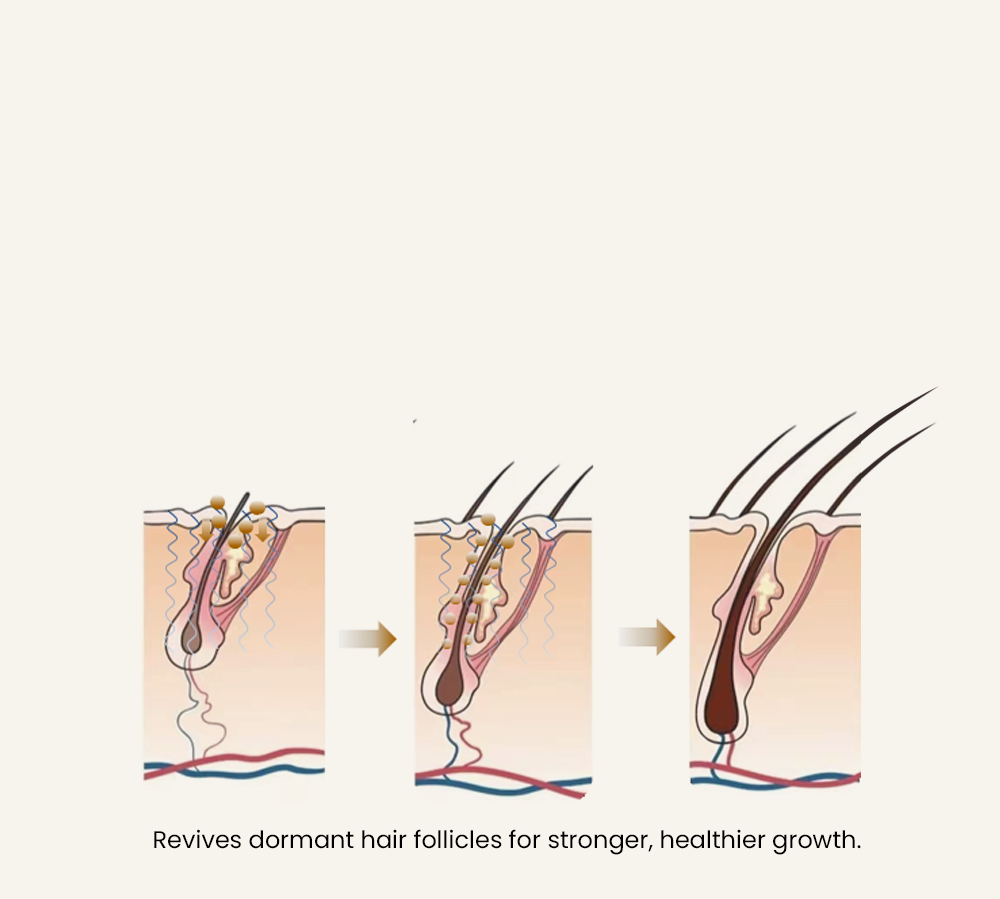 Customizable Head Massagers(images 11)