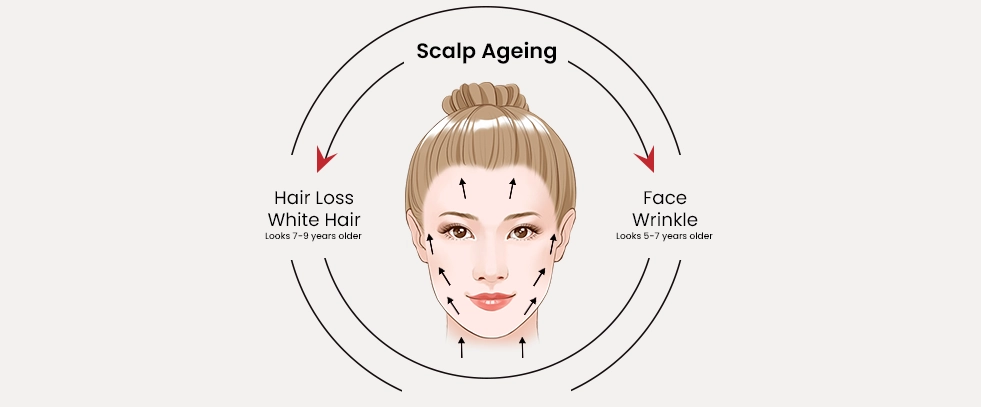 Why Your Scalp Needs More Care: Scalp Care Devices Explained(images 1)