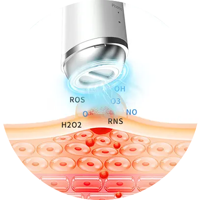 Plasma Purification Care