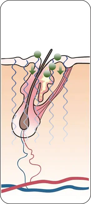 Portable Electric Massage Comb（images 10）