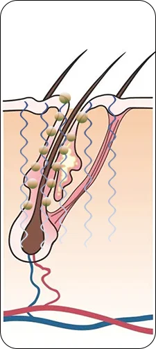 Portable Electric Massage Comb（images 11）