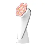 sr11em彩光仪 2RF Beauty Device