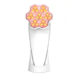 sr11em彩光仪 3RF Beauty Device