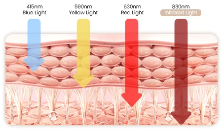 infrared light – deep skin support手机端